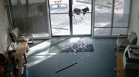 ചില്ലു ഭിത്തി തിരിച്ചറിയാന് സ്റ്റിക്കറോ അടയാളങ്ങളോ പതിപ്പിക്കണം, അനീല്ഡ് ഗ്ലാസുകള് വേണ്ട; മാര്ഗരേഖ