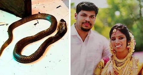 ഉത്രയുടെ തലച്ചോറിലും കരളിലും പാമ്പിന് വിഷത്തോടൊപ്പം ഉറക്കഗുളികയുടെ സാന്നിധ്യവും; പരിശോധന റിപ്പോര്ട്ട് പുറത്ത്