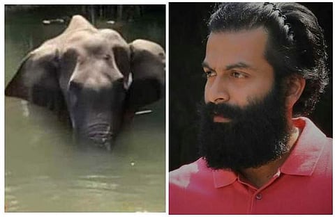 ആന ചരിഞ്ഞത് മലപ്പുറത്തല്ല; വര്ഗീയത കലര്ത്തരുത്; എണ്ണിപ്പറഞ്ഞ് പൃഥ്വിരാജ്