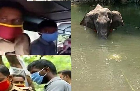 കൈതച്ചക്കയില് അല്ല, സ്ഫോടക വസ്തു വച്ചത് തേങ്ങയില്; പടക്കം വച്ചെന്ന് കര്ഷകന് സമ്മതിച്ചതായി സൂചന