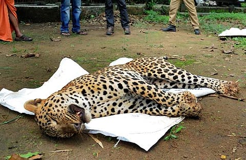 പ്രതീകാത്മക ചിത്രം