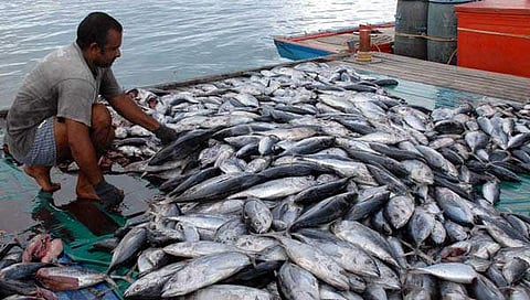 ഫയൽ ചിത്രം