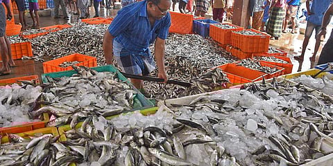 വഴിയോരത്തും വീടുകളിലും മത്സ്യ വില്പ്പന നിരോധിച്ചു, മത്സ്യ ലേലവും ഉണ്ടാവില്ല