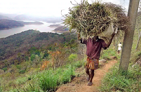നഷ്ടത്തിന്റെ കൃഷിപാഠങ്ങള്