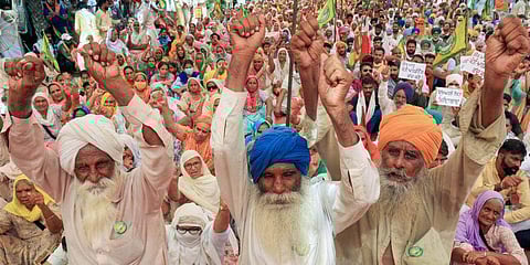 റാബി വിളകളുടെ താങ്ങുവില വർധിപ്പിച്ച് കേന്ദ്ര സർക്കാർ; കർഷക രോഷം തണുപ്പിക്കൽ ലക്ഷ്യം