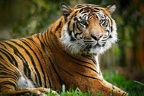 പ്രതീകാത്മക ചിത്രം/ ഫയൽ