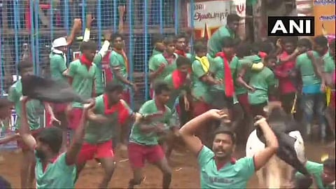 ജല്ലിക്കെട്ട് വേദിയിലെ പ്രതിഷേധം/ ട്വിറ്റർ