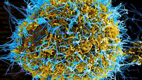 പ്രതീകാത്മക ചിത്രം