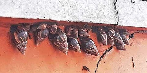 ഫയല് ചിത്രം