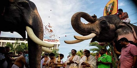 ഗുരുവായൂര് കേശവന് പിന്ഗാമികള് പ്രണാമം അര്പ്പിക്കുന്നു