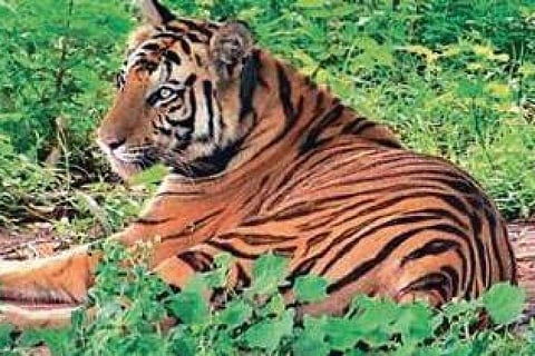 പ്രതീകാത്മക ചിത്രം