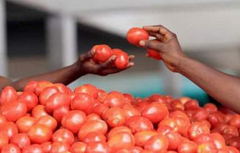 ഫയല് ചിത്രം