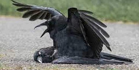 പ്രതീകാത്മക ചിത്രം