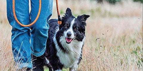 പ്രതീകാത്മക ചിത്രം