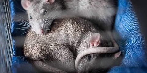 ഫയല് ചിത്രം