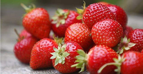 പ്രതീകാത്മക ചിത്രം