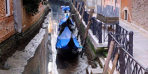 വെനീസിലെ കനാൽ വറ്റിയ നിലയിൽ/ ട്വിറ്റർ