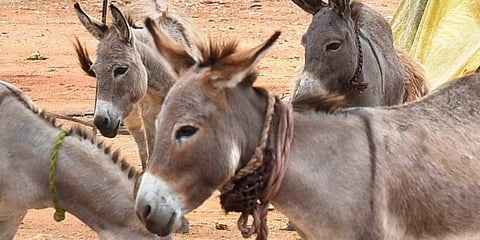 ഫയല് ചിത്രം