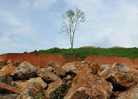 പരിസ്ഥിതിവാദത്തിലെ ഇന്ത്യന് അനുഭവങ്ങള്