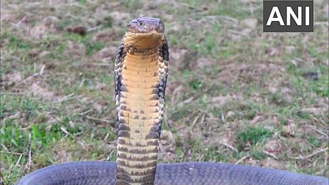 ഫോട്ടോ: എഎൻഐ