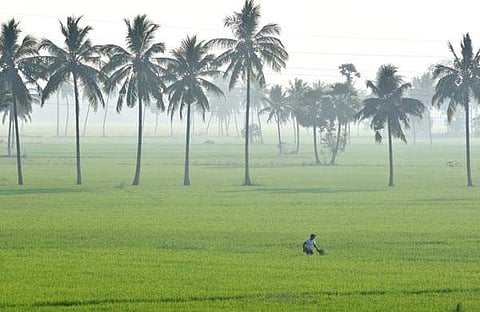 കിസാന് സമ്മാന് നിധി; പണം കൈപ്പറ്റിയ അനര്ഹര്ക്കു തിരിച്ചടയ്ക്കാന് നോട്ടീസ്/പിടിഐ