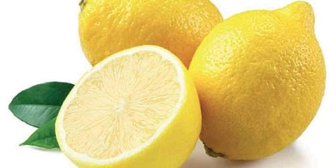 ഫയല് ചിത്രം