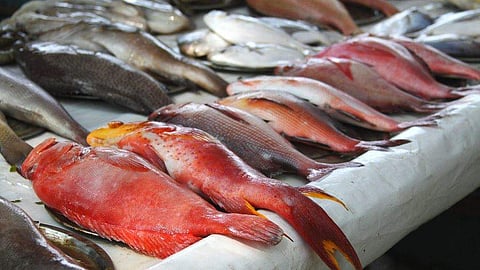 ഫയല് ചിത്രം