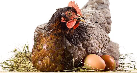 പ്രതീകാത്മക ചിത്രം