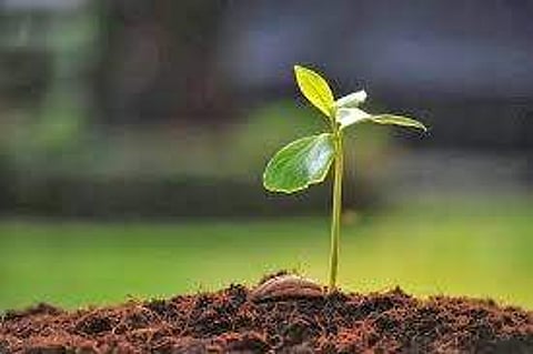 ഫയല് ചിത്രം