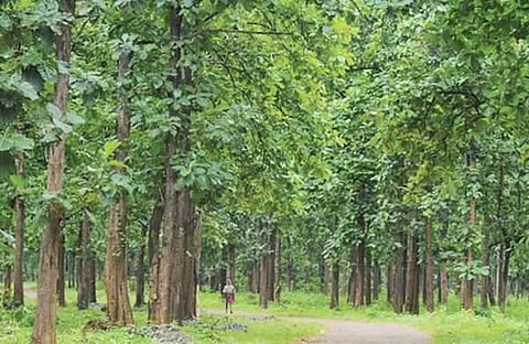 പ്രതീകാത്മക ചിത്രം