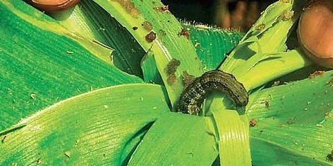 പ്രതീകാത്മക ചിത്രം