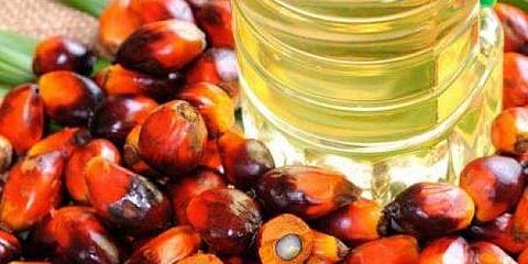 പ്രതീകാത്മക ചിത്രം