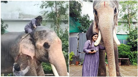 ആനപ്പുറത്ത് കയറിയ ശ്വേത ടീച്ചര് ചിത്രം/ ഫെയ്സ്ബുക്ക്