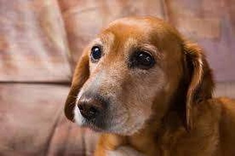 ഫയല് ചിത്രം