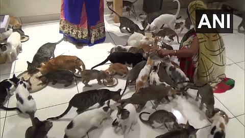 ചിത്രം: എഎൻഐ