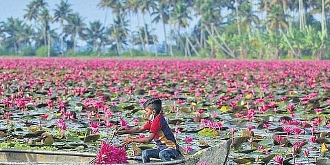 ഫയല് ചിത്രം