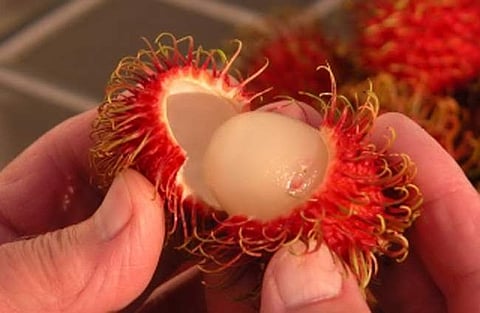 പ്രതീകാത്മക ചിത്രം