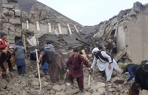 ചിത്രം : ട്വിറ്റർ