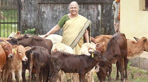 ഡോ ശോശാമ്മ അയ്പ്