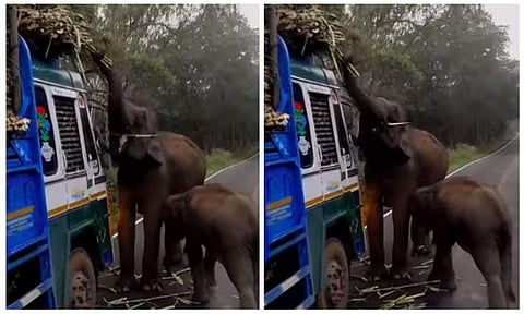 വീഡിയോ ദൃശ്യം