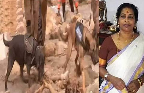 മായയും മര്ഫിയും, ലൈല/ ഫയല്