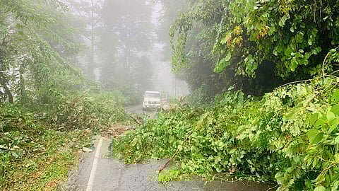 പ്രതീകാത്മക ചിത്രം