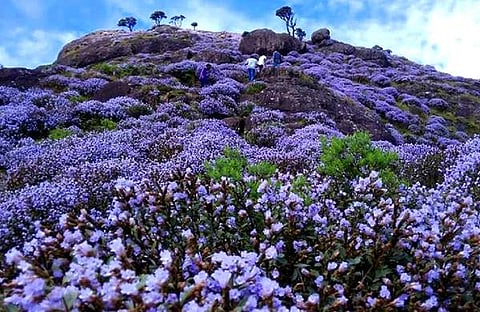 ഫയല് ചിത്രം