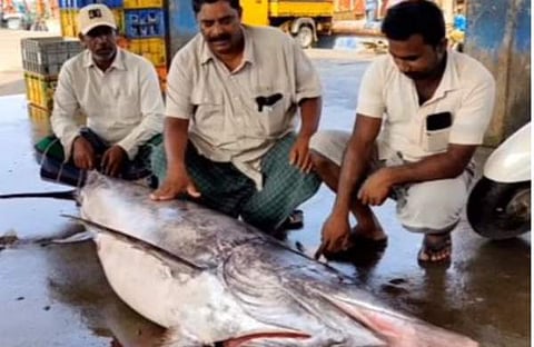 ടെലിവിഷന് ദൃശ്യം