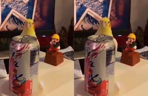 വിഡിയോ സ്ക്രീൻഷോട്ട്