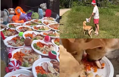 വിഡിയോ സ്ക്രീൻഷോട്ട്