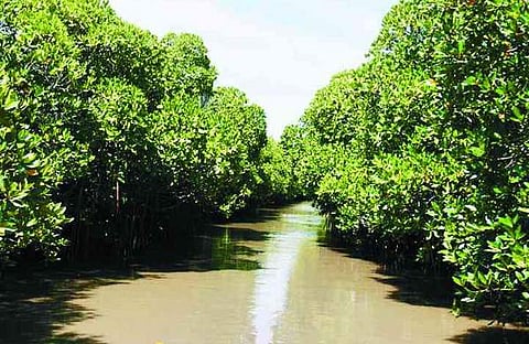 പ്രതീകാത്മക ചിത്രം