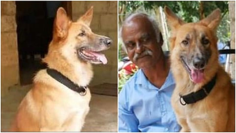 ചോട്ടു ഉടമസ്ഥനൊപ്പം