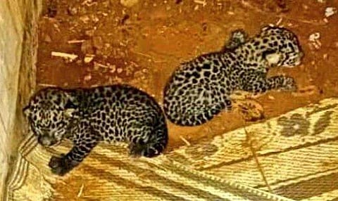 ഫയല് ചിത്രം