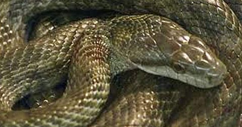 പ്രതീകാത്മക ചിത്രം